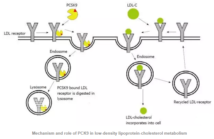 九游会老哥必备的交流社区_俱乐部论坛帖子