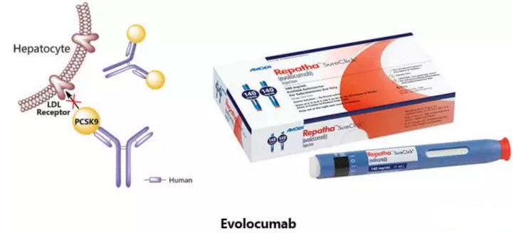 九游会老哥必备的交流社区_俱乐部论坛帖子