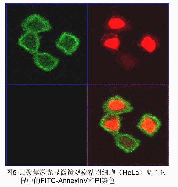 九游会老哥必备的交流社区_俱乐部论坛帖子