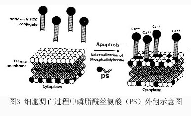 九游会老哥必备的交流社区_俱乐部论坛帖子