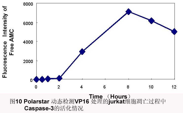 九游会老哥必备的交流社区_俱乐部论坛帖子