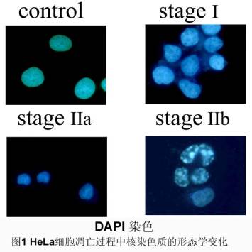 九游会老哥必备的交流社区_俱乐部论坛帖子