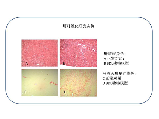 九游会老哥必备的交流社区_俱乐部论坛帖子