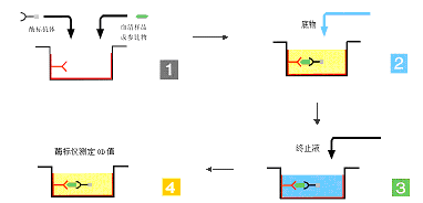 九游会老哥必备的交流社区_俱乐部论坛帖子