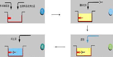 九游会老哥必备的交流社区_俱乐部论坛帖子