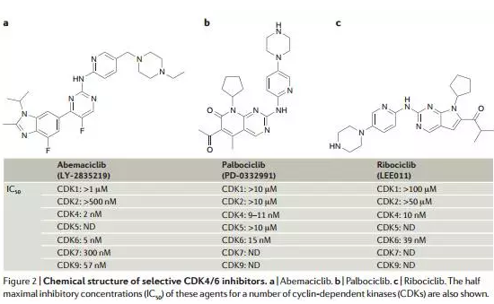 九游会老哥必备的交流社区_俱乐部论坛帖子