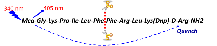 九游会老哥必备的交流社区_俱乐部论坛帖子