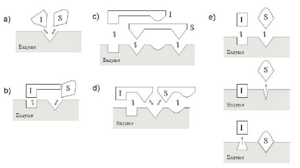 九游会老哥必备的交流社区_俱乐部论坛帖子