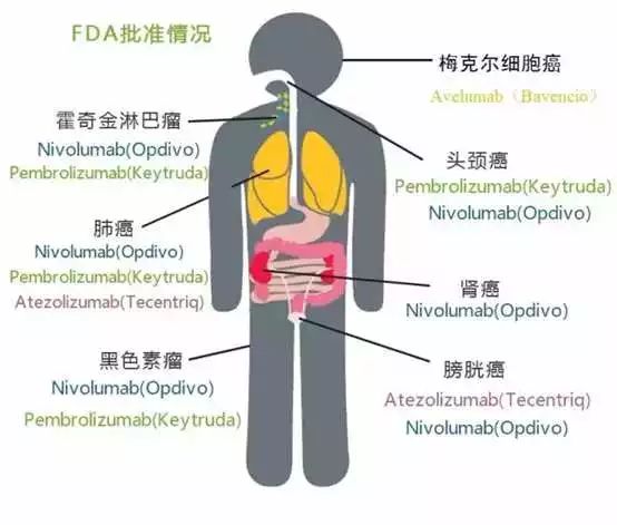 九游会老哥必备的交流社区_俱乐部论坛帖子