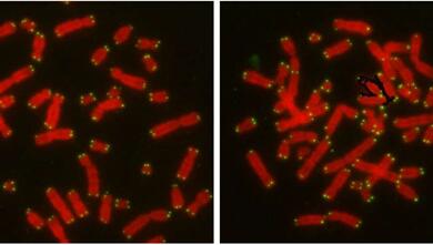 九游会老哥必备的交流社区_俱乐部论坛帖子