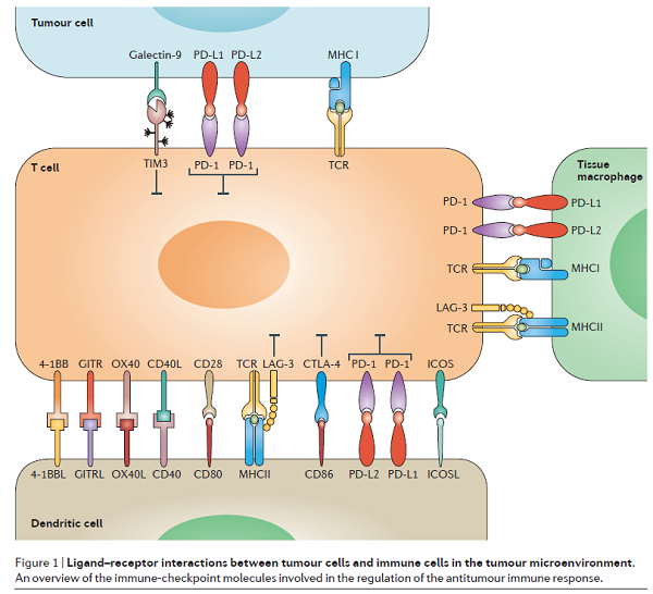 九游会老哥必备的交流社区_俱乐部论坛帖子
