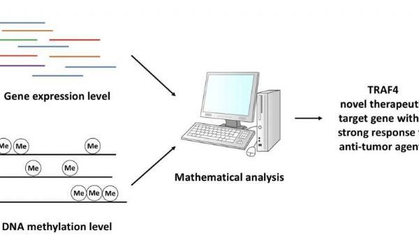 九游会老哥必备的交流社区_俱乐部论坛帖子
