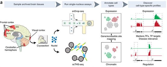 九游会老哥必备的交流社区_俱乐部论坛帖子