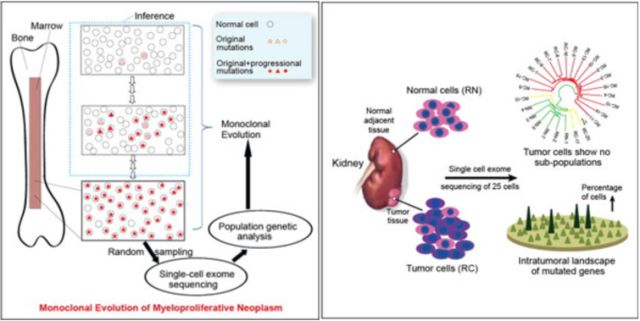 九游会老哥必备的交流社区_俱乐部论坛帖子