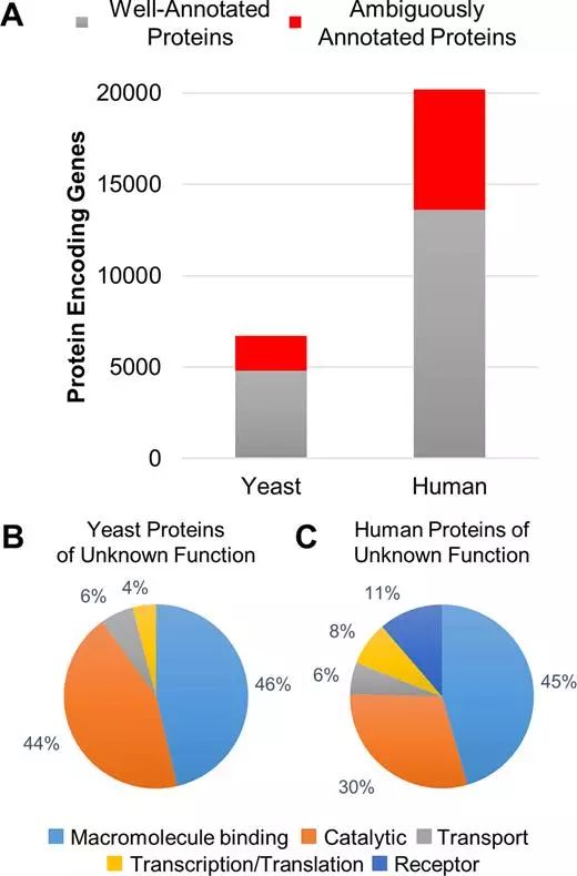 九游会老哥必备的交流社区_俱乐部论坛帖子