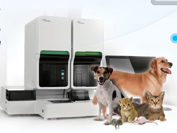 九游会老哥必备的交流社区_俱乐部论坛帖子