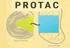 热门前沿:PROTAC初露矛头，SD-36对抗肿瘤效果卓越