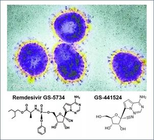 基于细胞因子风暴和免疫炎症反应综合征，许多免疫相关靶点也可以列为冠状病毒的靶点。