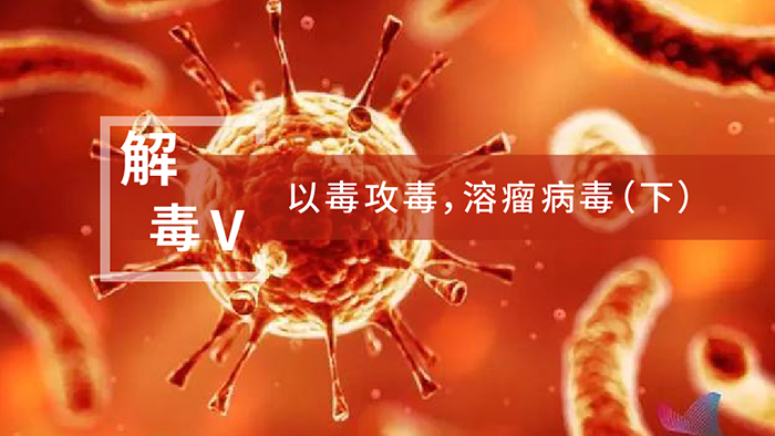 【解“毒”V】以毒攻毒，溶瘤病毒（下）