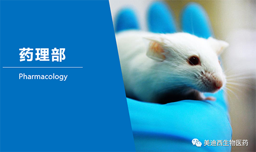 九游会老哥俱乐部药理部开发了肺癌、结肠癌、胃癌等12种PDX模子。