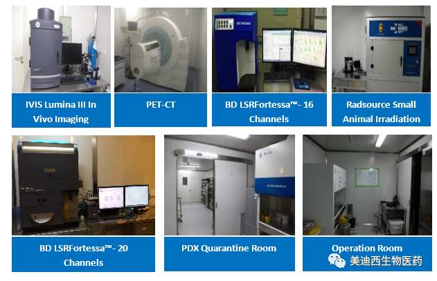 九游会老哥俱乐部药理部拥有IVIS Lumina III, PET-CT, BD LSRFortessa-16, Flow Cytometry等仪器，提供切合申报，支持临床试验的药效评价效劳。