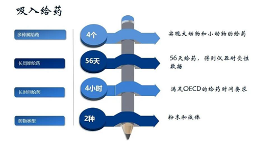 九游会老哥俱乐部吸入给药清静性评价效劳