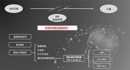 人工合成NT类脂质开放血脑屏障，为CNS药物翻开新时势