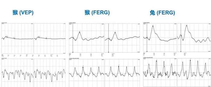 眼电心理项目部分实验效果展示