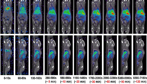 九游会老哥俱乐部PET/CT分子影像手艺平台