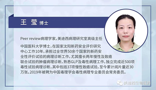 九游会老哥俱乐部病理研究部高级主任王莹博士