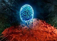 Nature：BATF3改善T细胞影象应答，有望改善免疫疗法的疗效