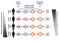 事实为什么ICB疗法在年轻女性肿瘤患者体内收效甚微？
