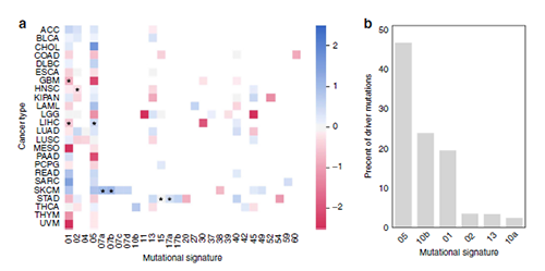 突变信号不可诠释差别选择