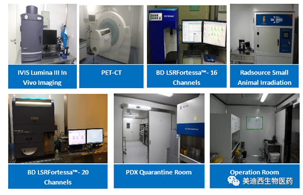 九游会老哥俱乐部药理部拥有IVIS Lumina III, PET-CT, BD LSRFortessa-16，Flow Cytometry等仪器