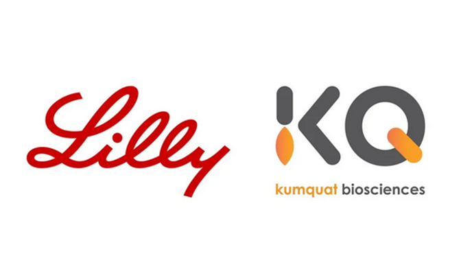 祝贺！九游会老哥俱乐部相助同伴Kumquat Biosciences与礼来告竣相助，配合开发肿瘤免疫小分子药