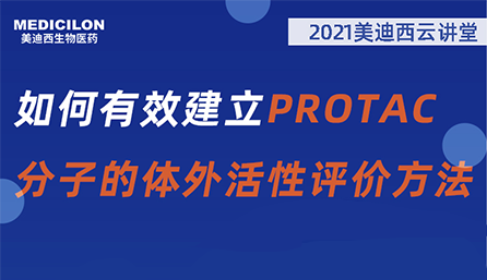 【云课堂】：怎样有用建设PROTAC分子的体外活性评价要领？