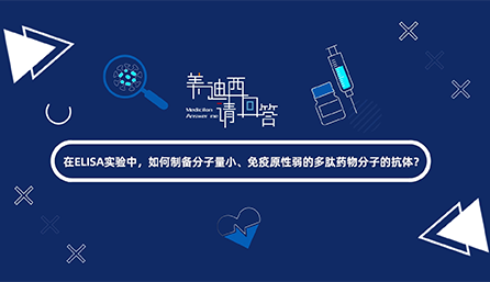 在ELISA实验，怎样制备分子量小、免疫原性弱的多肽药物分子的抗体？
