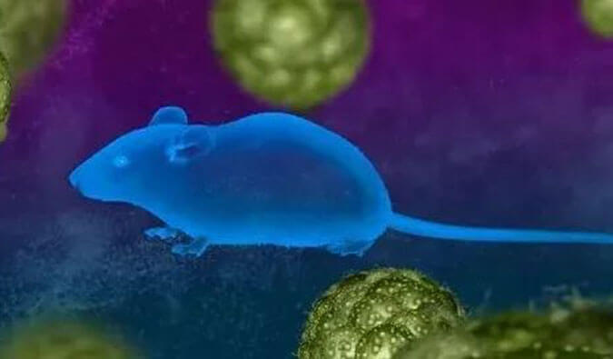 九游会老哥俱乐部药效效劳赋能First-in-Class泛素化抑制剂研发