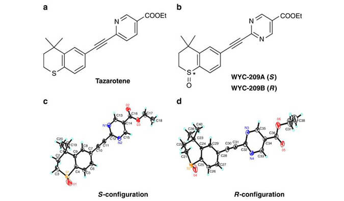 WYC-209可抑制恶性小鼠玄色素瘤肿瘤再生细胞增殖，本研究中SPR通过九游会老哥俱乐部使用Biacore 8K举行