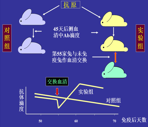 Figure-1：机体对抗体浓度转变的感知与反响性自我调理.jpg
