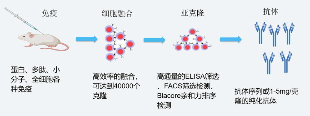 九游会老哥俱乐部杂交瘤手艺平台开发流程