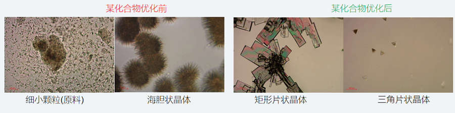 05案例分享-单晶作育，改变晶习.png