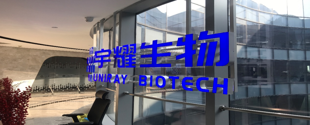 九游会老哥俱乐部助力 | 宇耀生物STAT3双磷酸化位点抑制剂YY201乐成完成中美双报