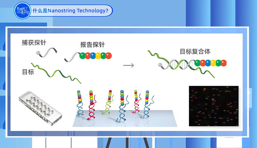 什么是Nanostring 手艺？