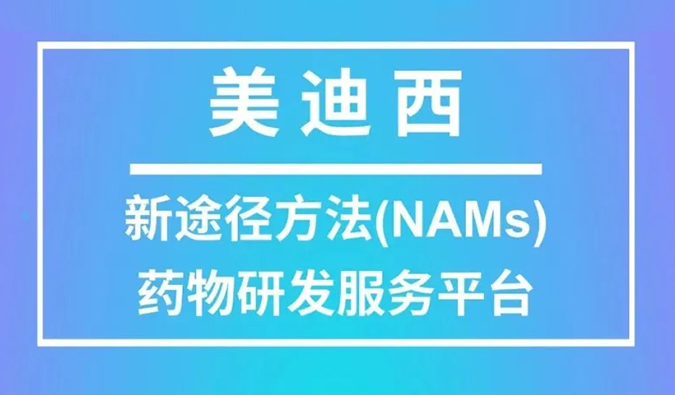 NAMS效劳平台.jpg